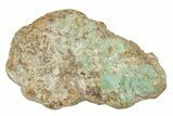 Polished Turquoise Section - Number Mine, Carlin, NV #244464-1